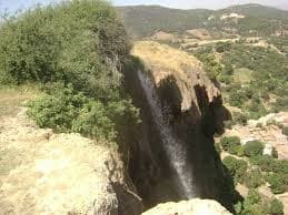 Coopérative Oléicole d'Oued Ifrane - Productrice d'Huile d'Olive Extra Vierge